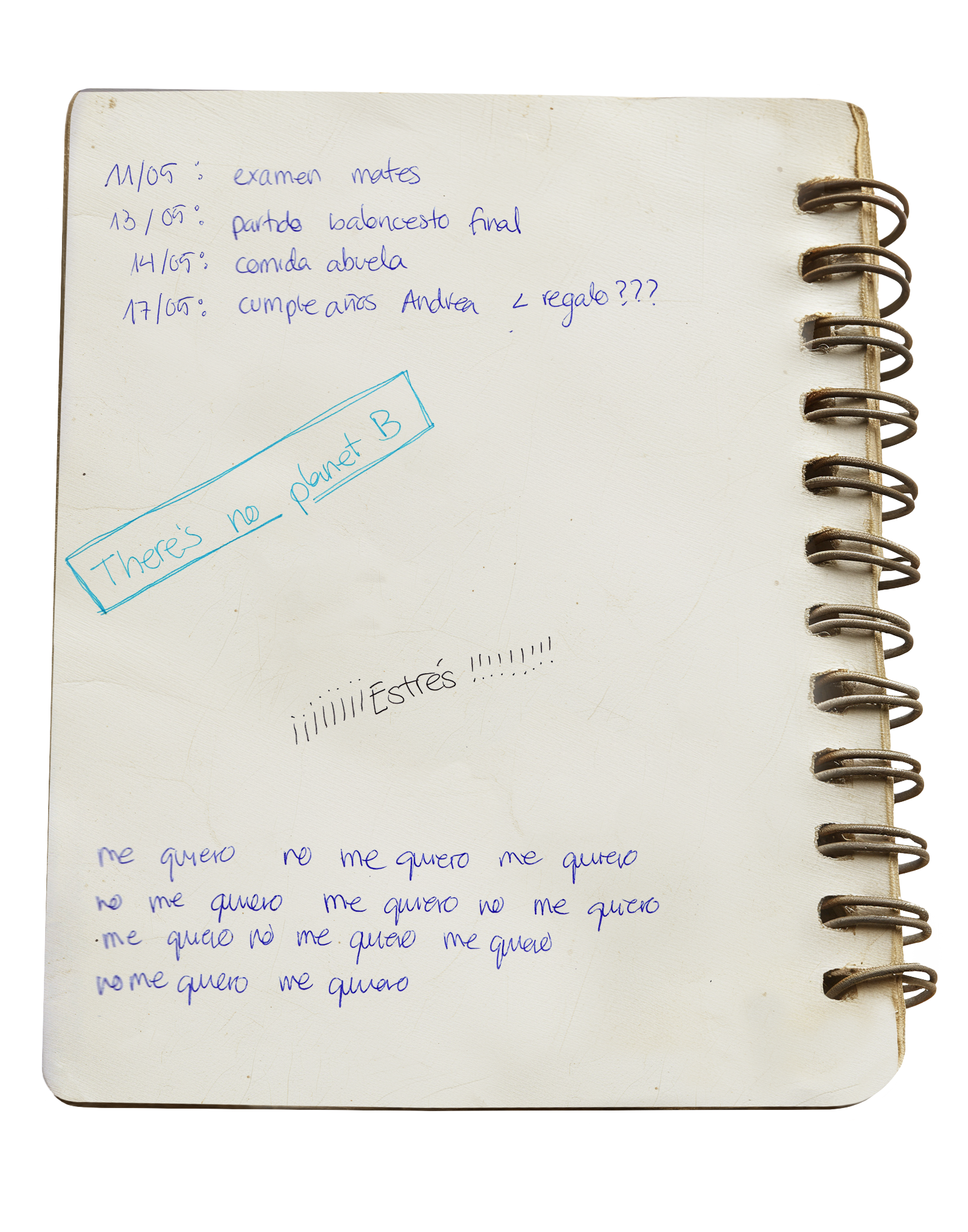 Diary